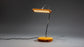 Wooden Desk LED Lamp/USB Charger Flexible Goose Neck Study Table Lamp 11 - JTNLAB