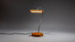 Gooseneck LED Desk Lamp - JTNLAB