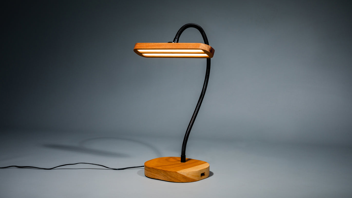 Gooseneck LED Desk Lamp - JTNLAB