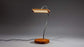 JTNLAB LAMP Oak / Silver Colour WOODEN GOOSENECK DESK LAMP